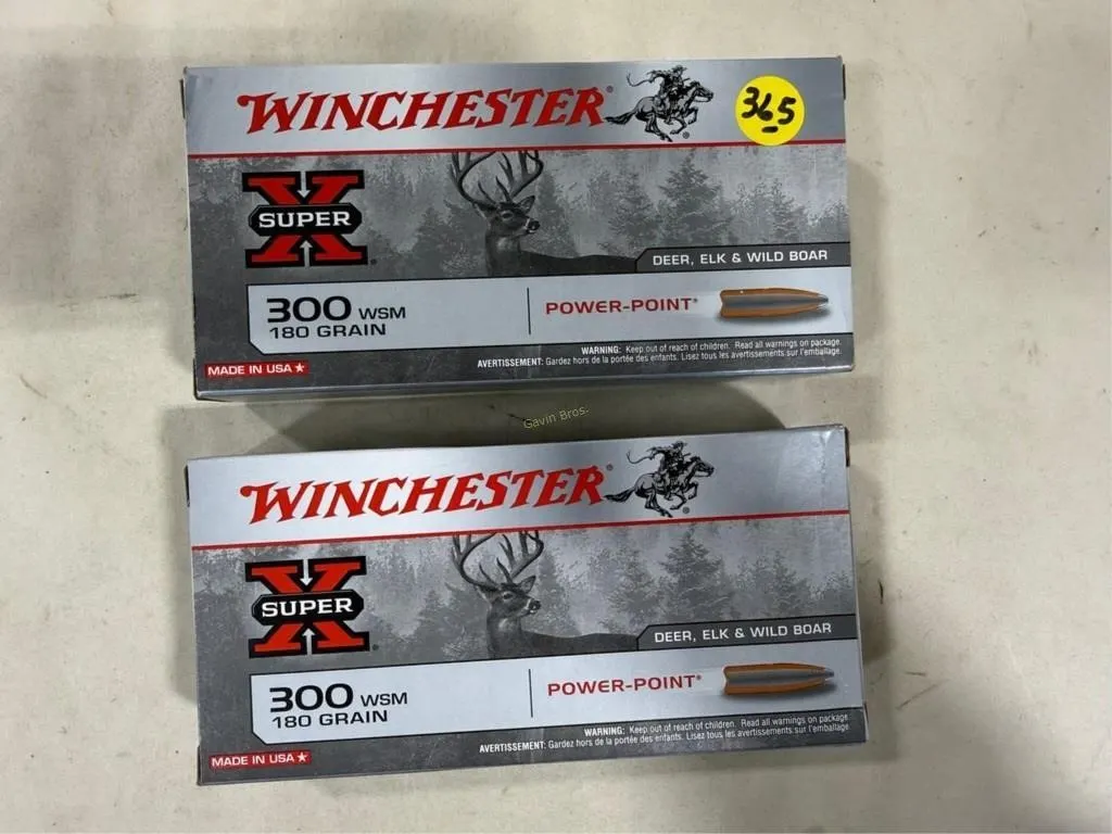40-Rds Winchester 300 WSM-180 Grain