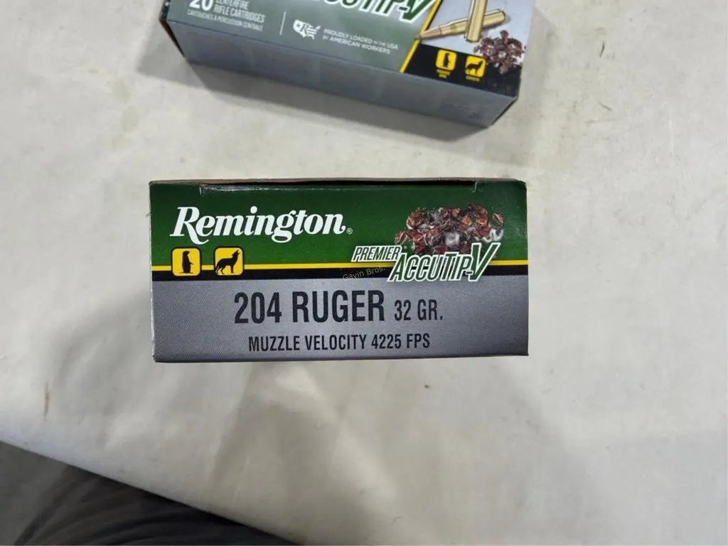 40-Rds Remington 204 RUGER -32 Grain