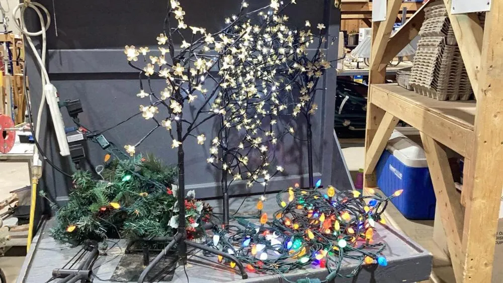 BOX OF CHRISTMAS LIGHTS, TREES