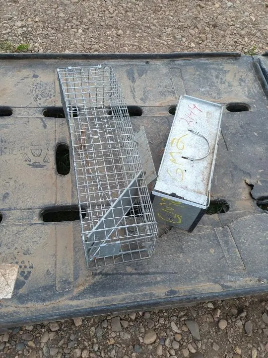 2 Small Animal Traps