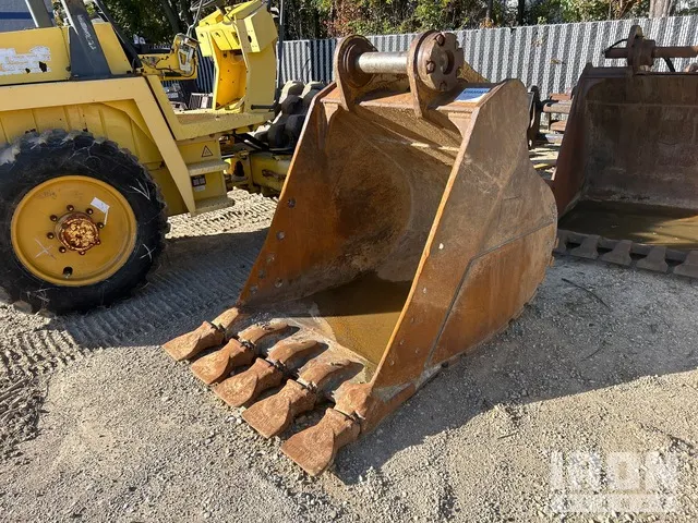 Cat 44 in Digging Excavator Bucket