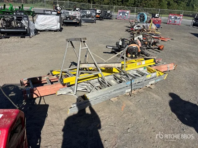 Quantity of Ladder
