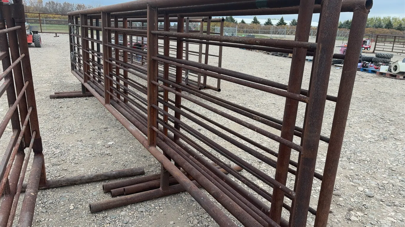 4 - 24' Corral Panels ( BUYER MUST PAY 4X THE BID PRICE)
