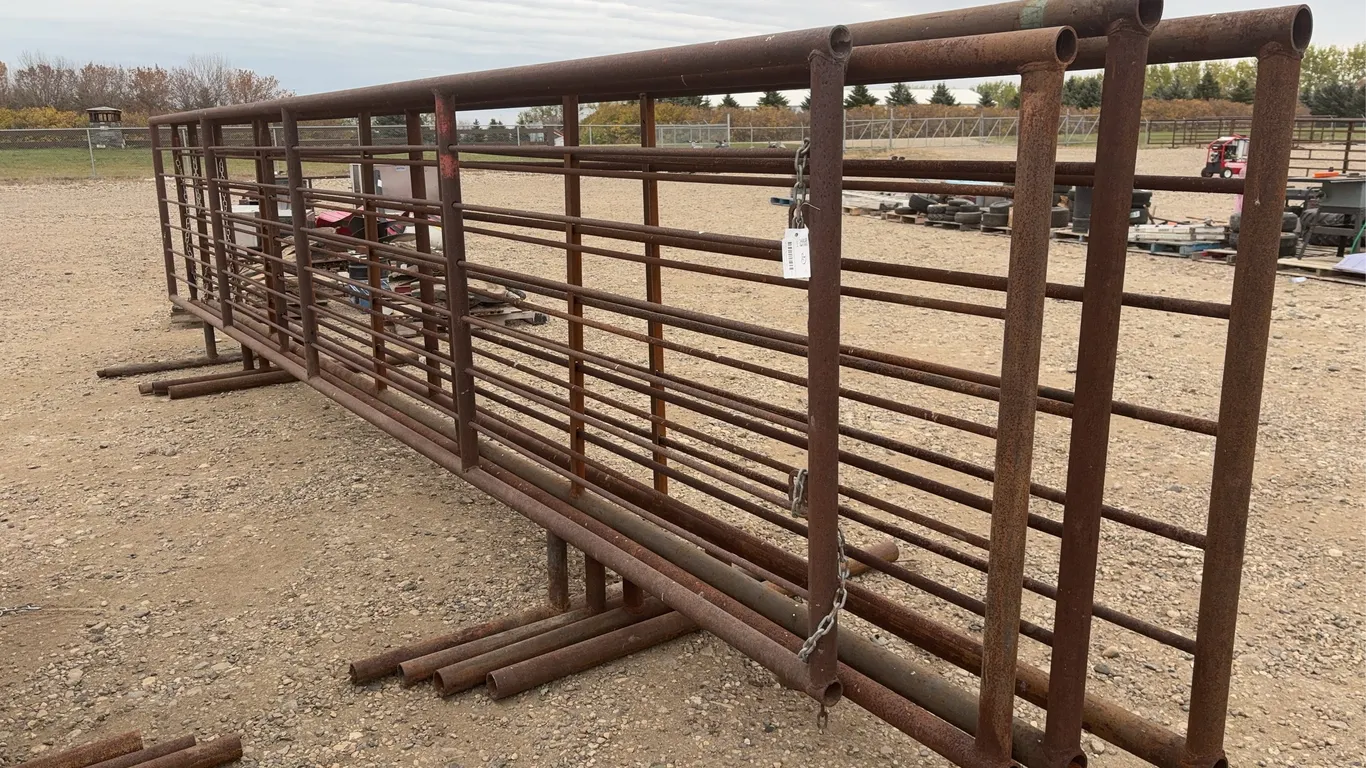 4 - 24' Corral Panels ( BUYER MUST PAY 4X THE BID PRICE)