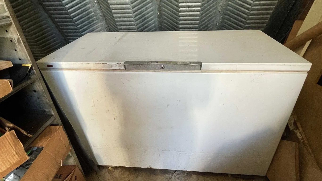 Chest Freezer