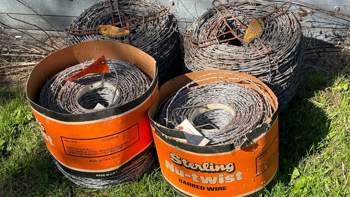 Barbed Wire