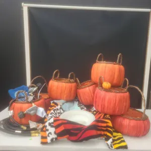 7 Pumpkin-Shaped Baskets, Royal Doulton Dish, Towels, Gas Hose, Spoon