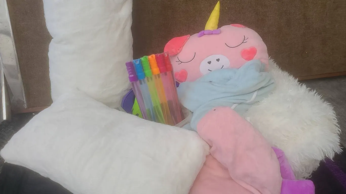Children's Bedding Bundle With Unicorn Plush, Pillows and Throw