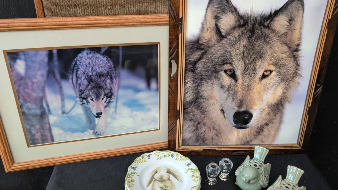 Decorative Lot: Abbott China Bird Figurines, Framed Wolf Prints and More