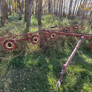 Open Lot