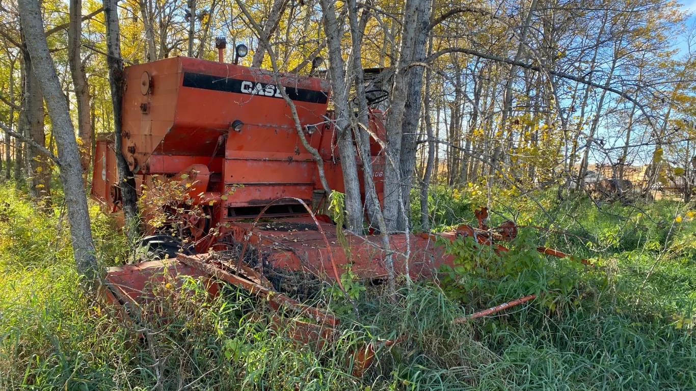 Open Lot