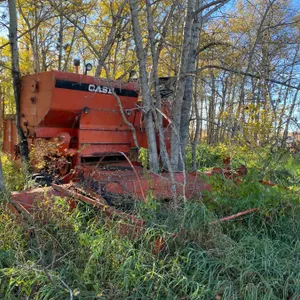 Open Lot