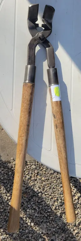 Milcare De-Horner Tool