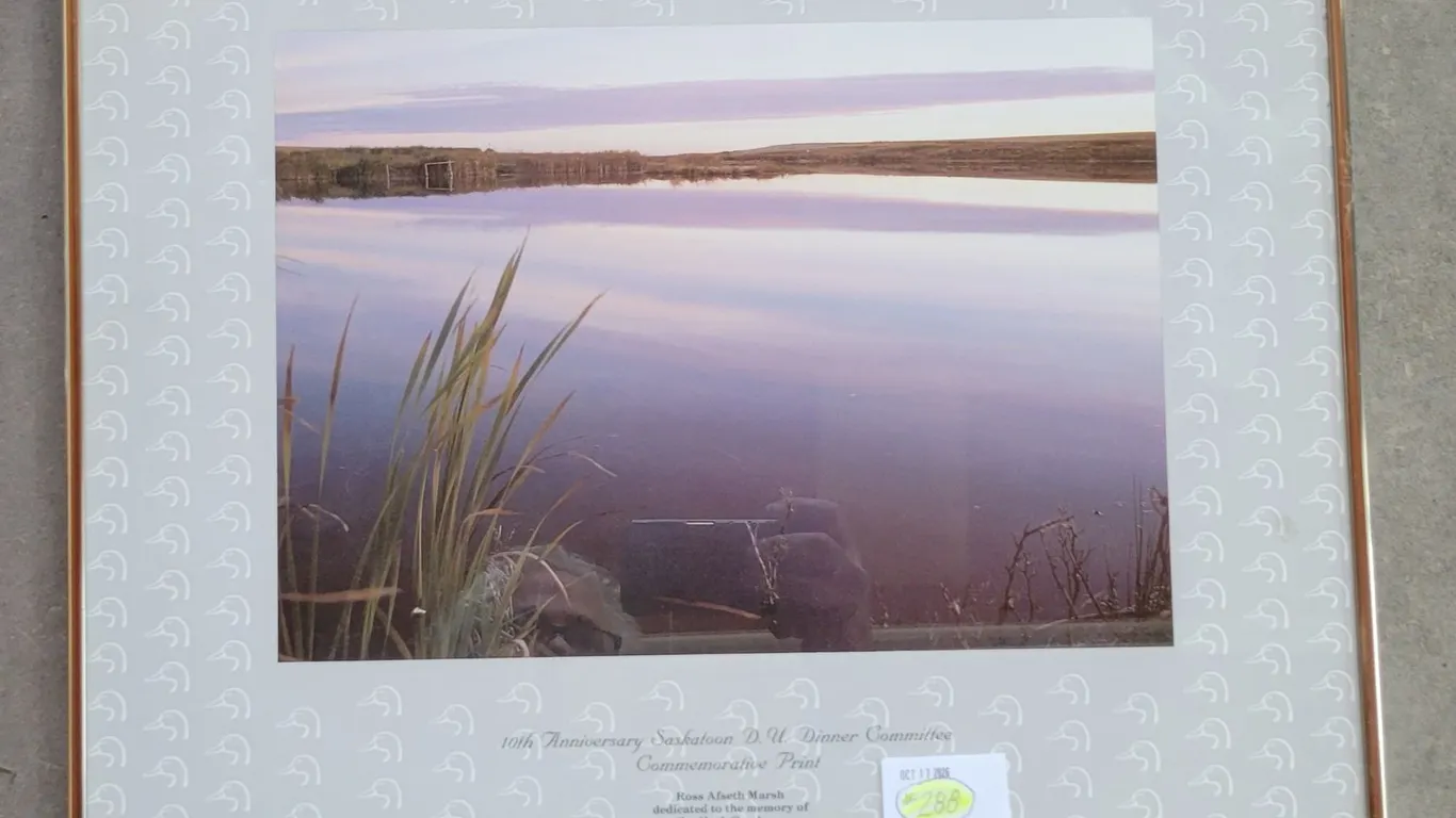 Framed Ducks Unlimited Print - 20" x 16"