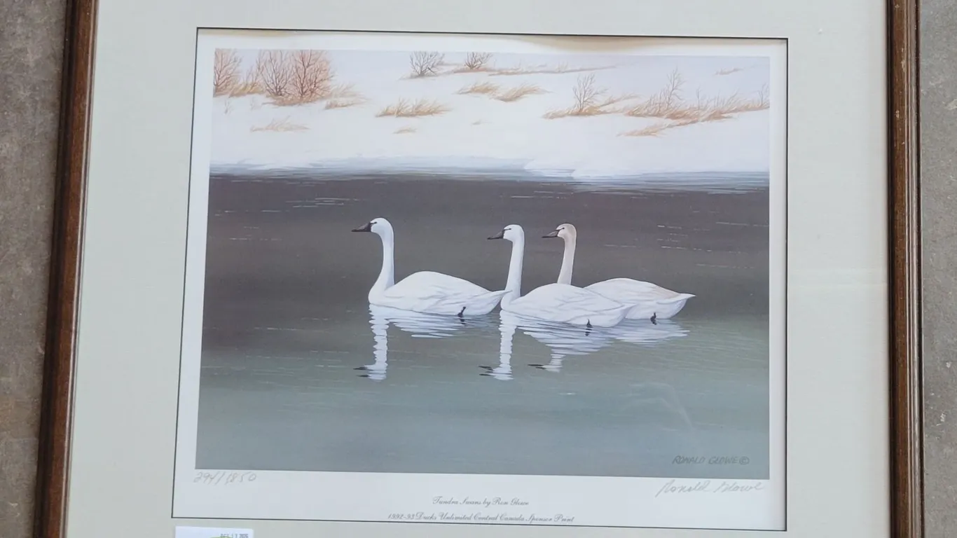 Ducks Unlimited Tundra Swans Signed Print by Ron Glowe #294/1,850 (25" x 22")
