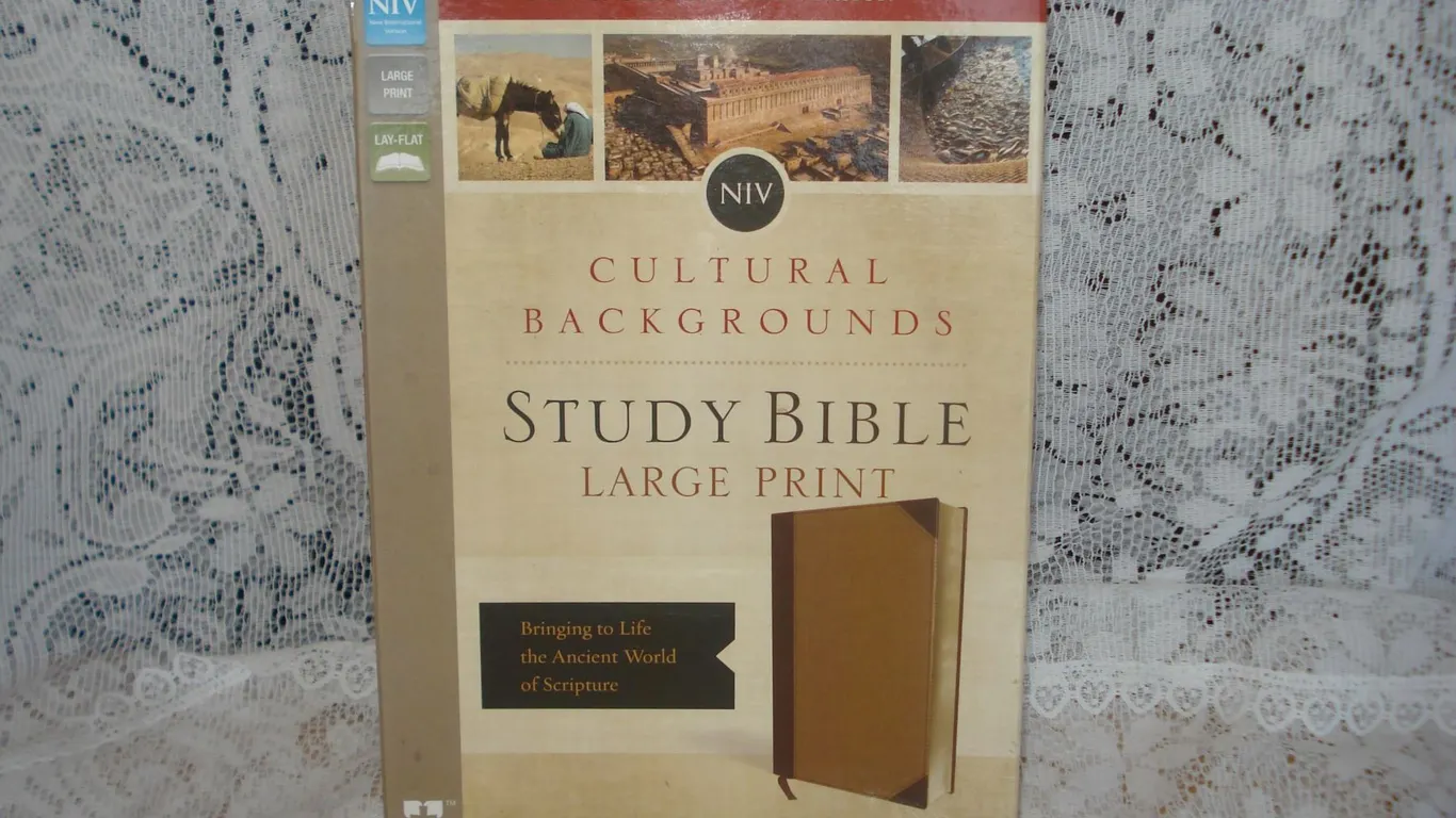 Study Bible In Box