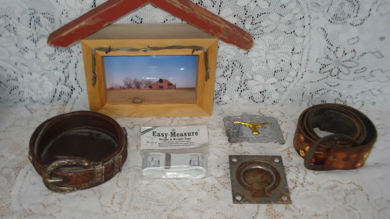 Western Themed Items Horse Wall Tie Buckle Etc