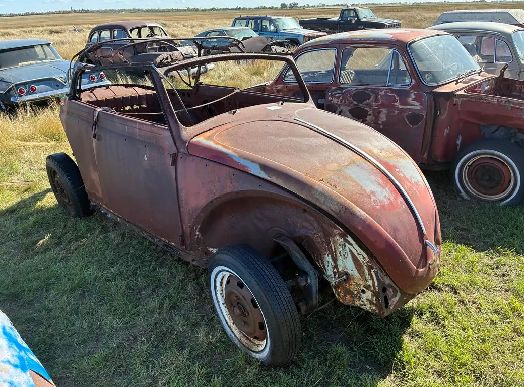 Volkswagen Beetle Car (Non-Runner)