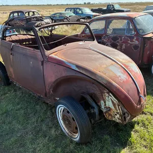 Volkswagen Beetle Car (Non-Runner)