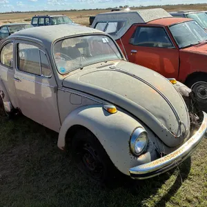 Volkswagen Beetle Car (Non-Runner)