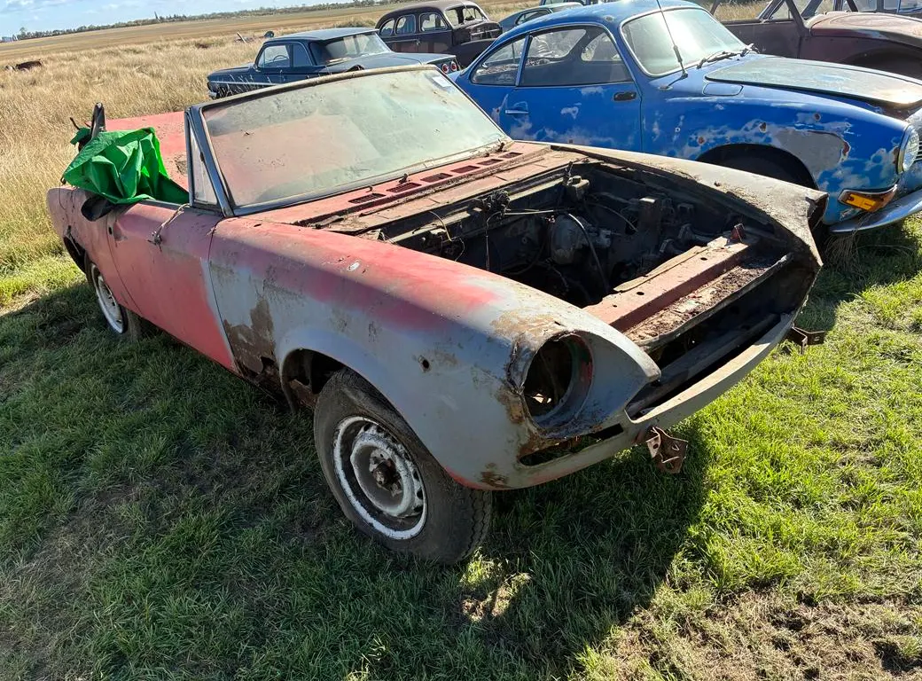 Fiat Convertible Car