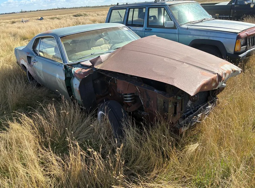 1969 Mustang Fast Back Car (Non-Runner)