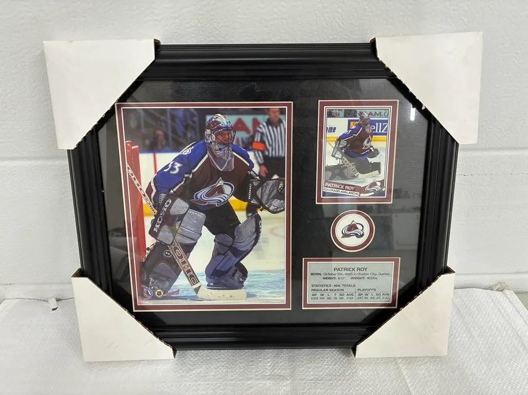 15.5" x 1' 3/4" Patrick Roy Picture