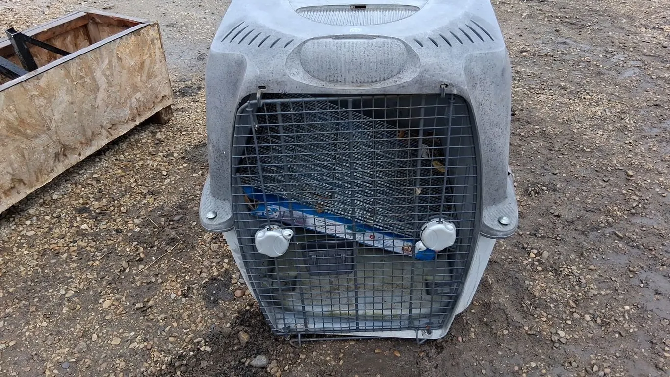 Dog Kennel and Exercise Pen