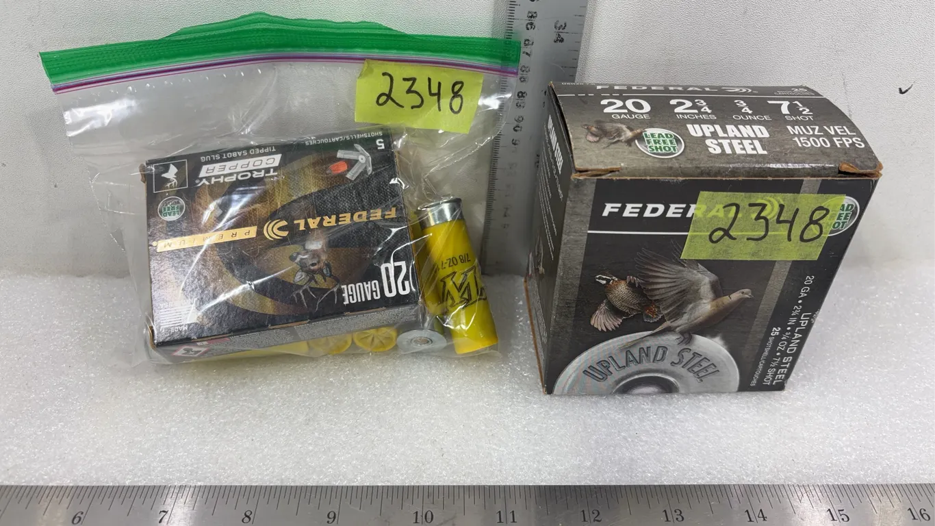 2 - Boxes and Bag of Various 20 Ga Shells *Unreserved*