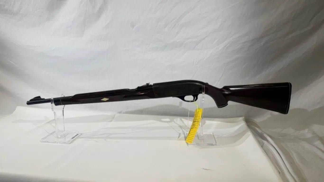REMINGTON ARMS NYLON 66 RIFLE