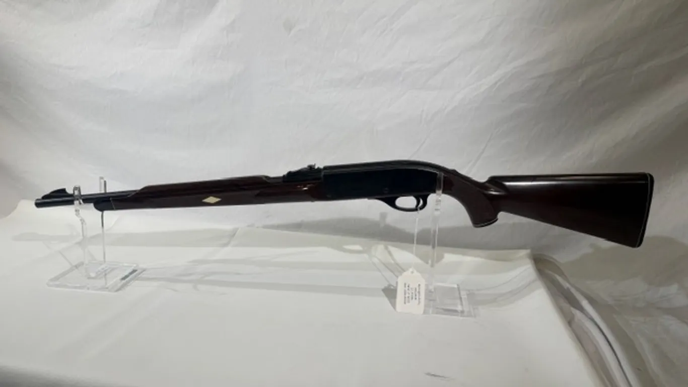 REMINGTON ARMS NYLON 66 RIFLE