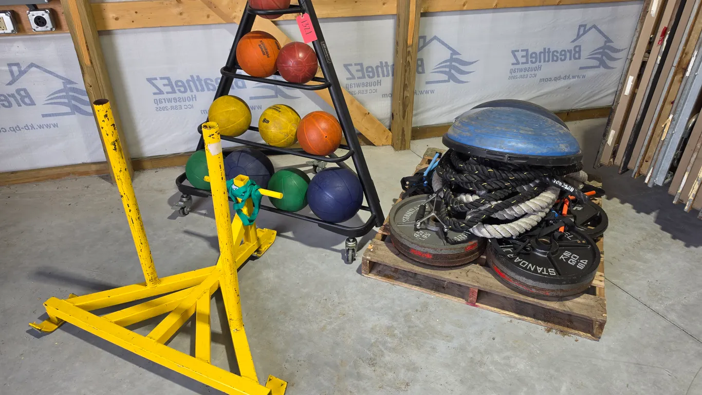 (8) 45lb, (4) 35lb Weights, Exercise Rope, Medicine Balls (With Holder) and Misc, Buying All for One