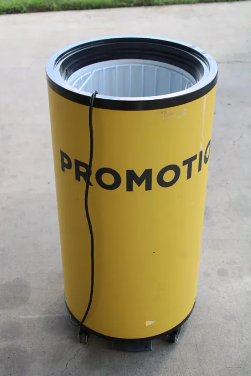 Timewise Electric Cooler