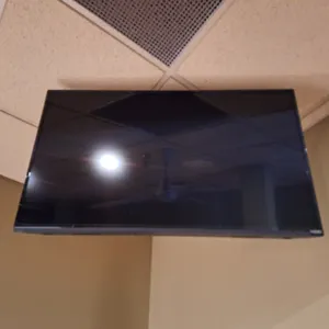 Vizio 42" TV with Ceiling Mount