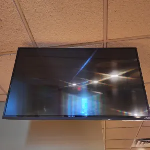 Vizio 42" TV with Ceiling Mount