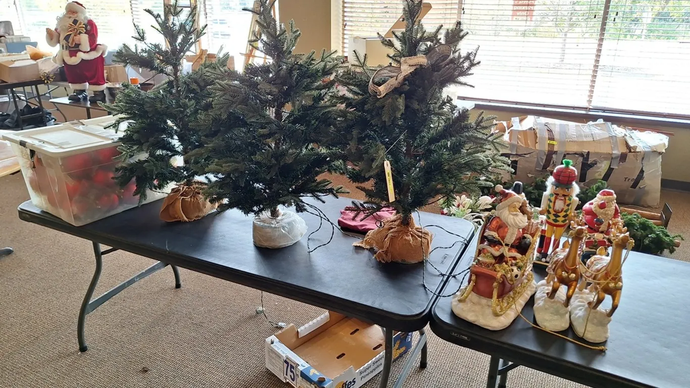 Assorted Christmas Decor