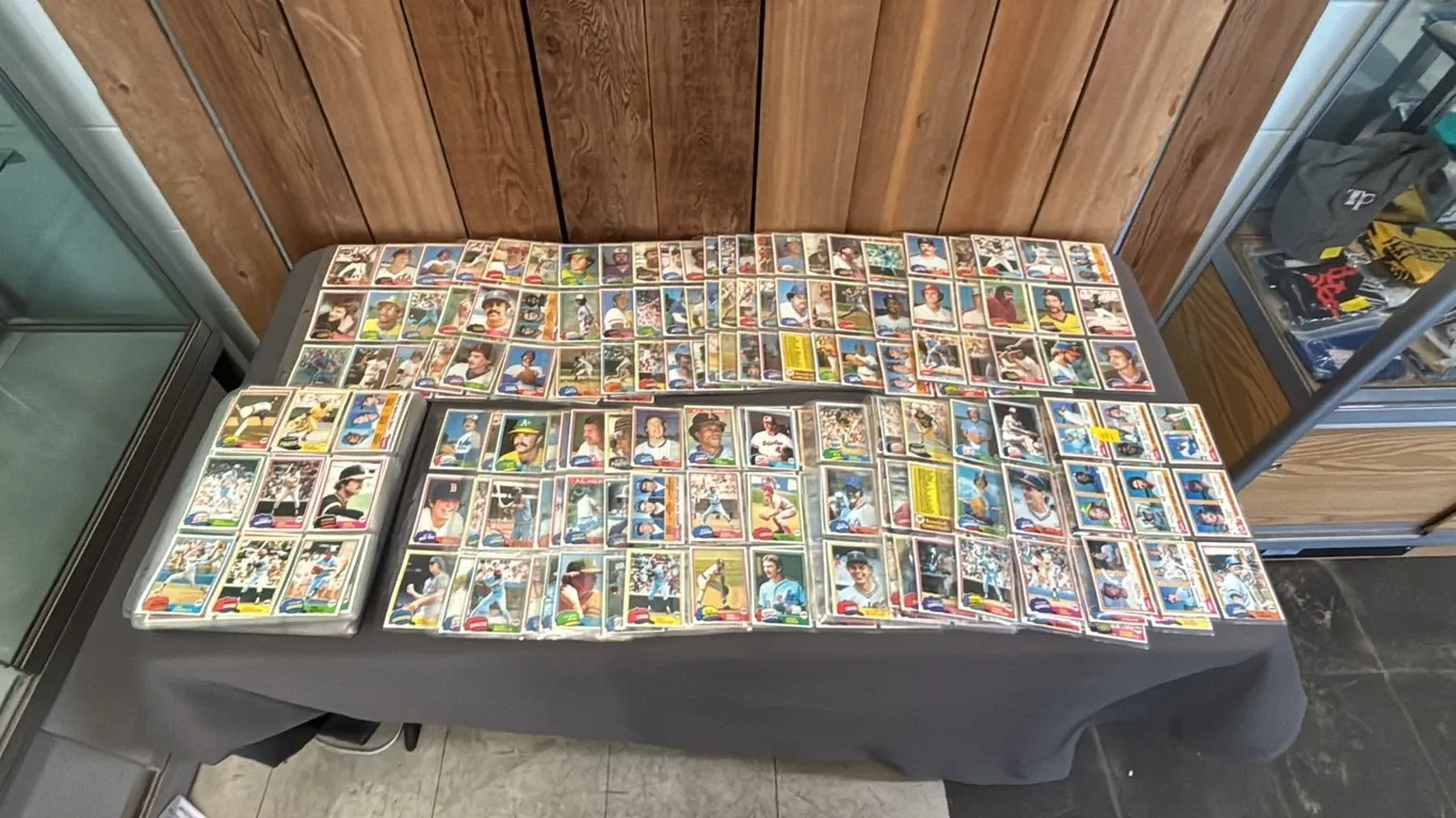 NEAR COMPLETE 1981 TOPPS BASEBALL CARD SET IN TRADING CARD SLEEVES *MISSING #302, #347 & #479*