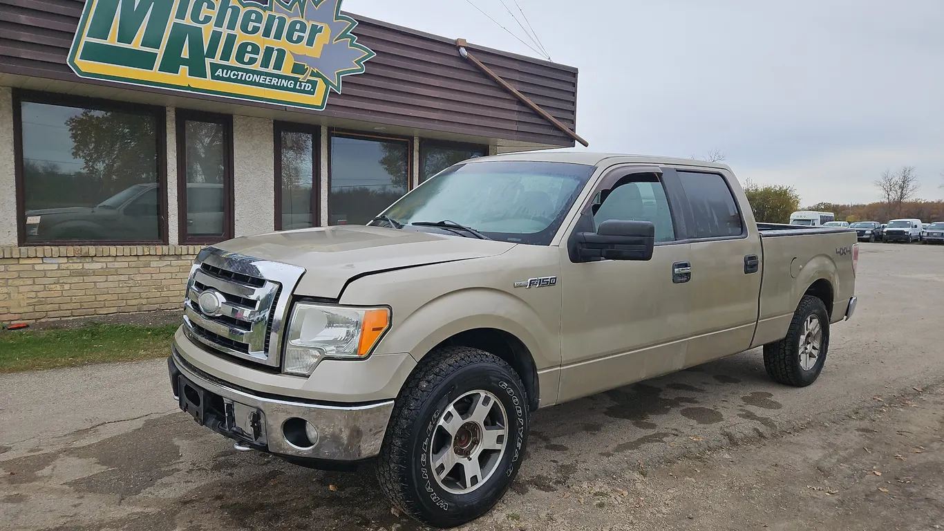 2009 Ford F-150