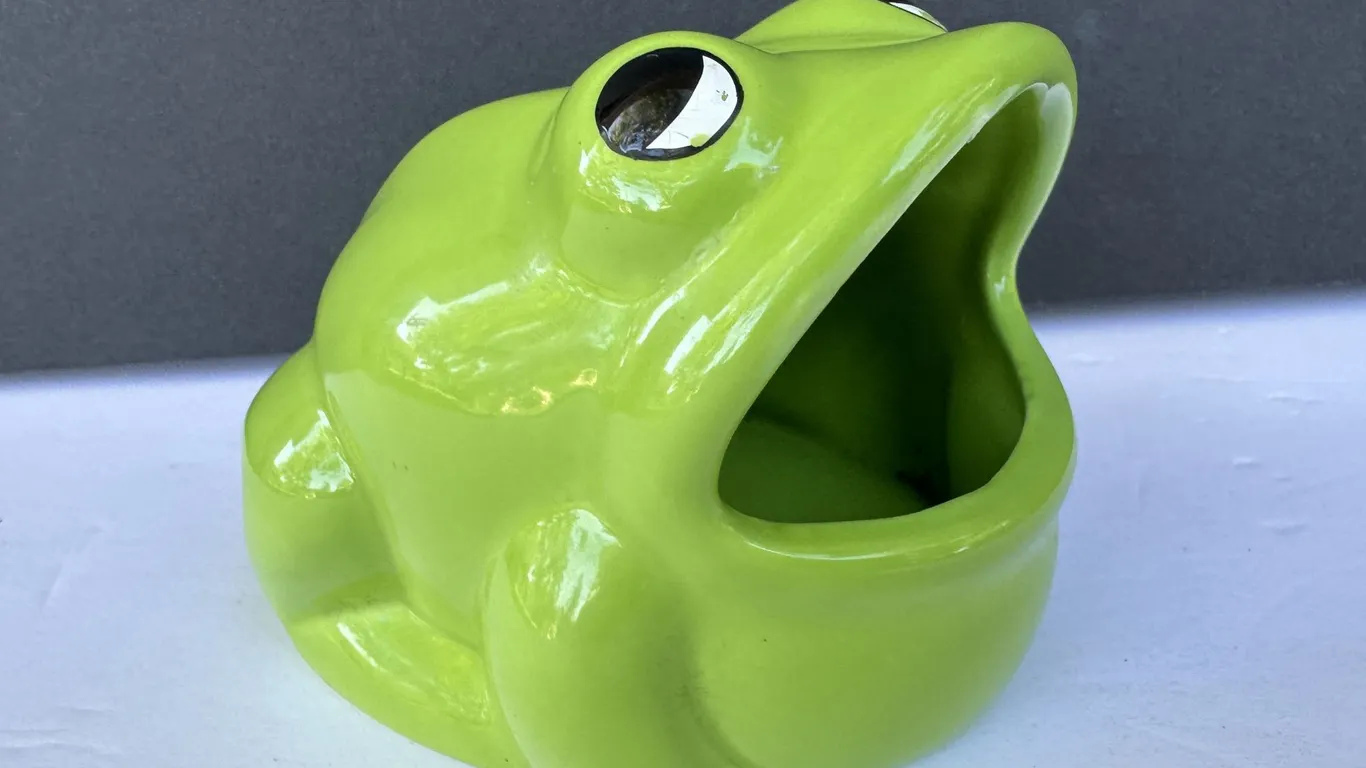 MCM Ceramic Green Frog Sponge Holder