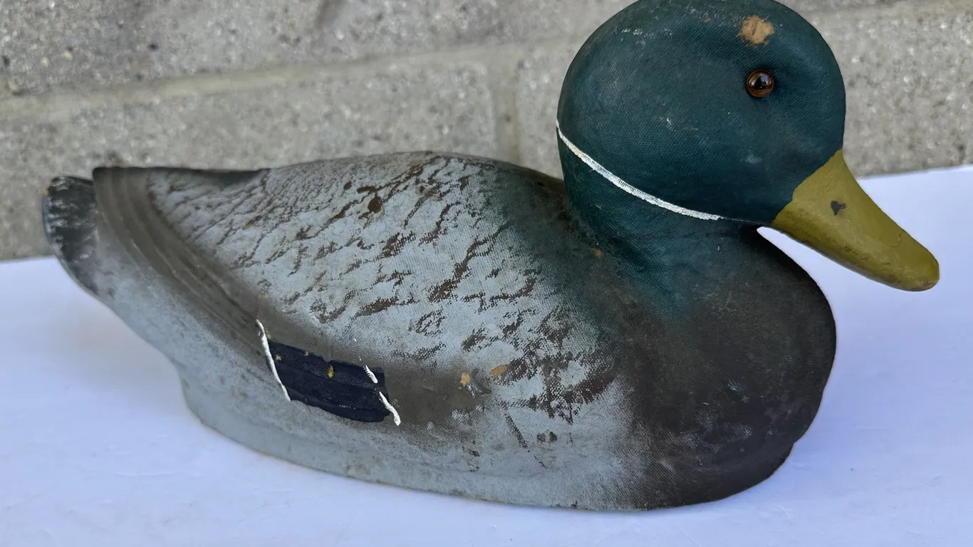 J.C. Higgins Life-Like Mallard Duck Hunting Decoy Glass Eyes