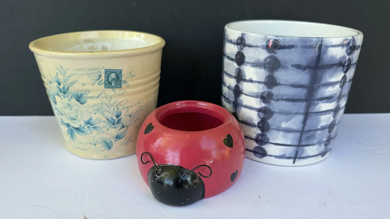 Ceramic Flower Pots & Bloomrite Lady Bug Trinket Jar