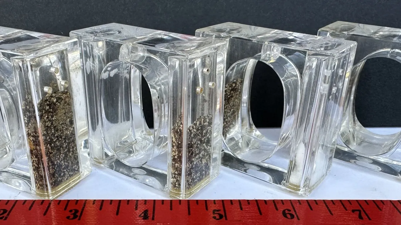 Modern Square Lucite Individual Salt/Pepper Shaker Napkin Rings