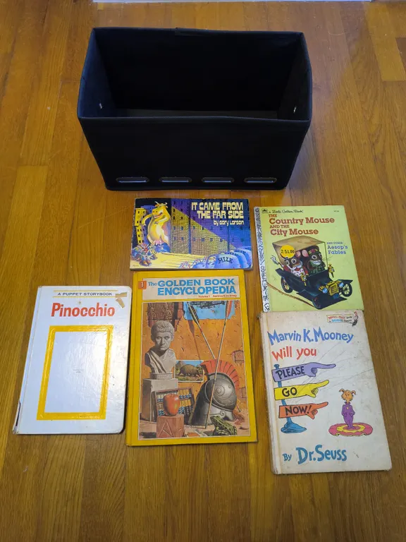 Vintage Childrens Book Lot: Dr Seuss, Little Golden Book, Pinocchio & More