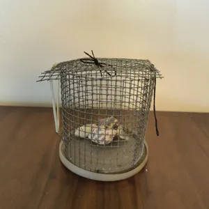Vintage Galvanized Wire Mesh Bait Trap Nautical Maritime Salvage Decor