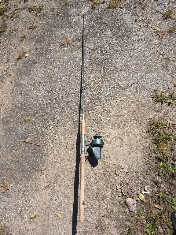 Fishing Rod With Fishing Reel