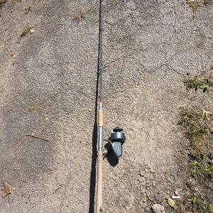 Fishing Rod With Fishing Reel