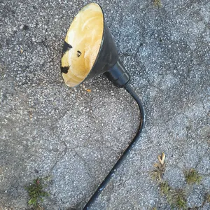Vintage Gooseneck Wall-Mount Barn Or Sign Light Fixture