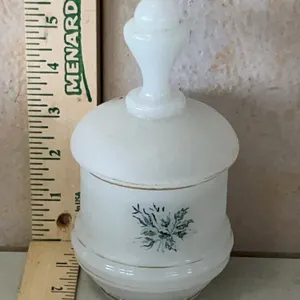Vintage Frosted Glass Hand Painted Flower Jar