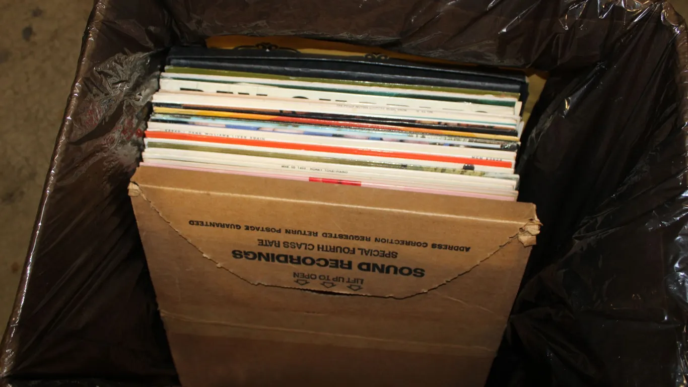 Vinyl Records