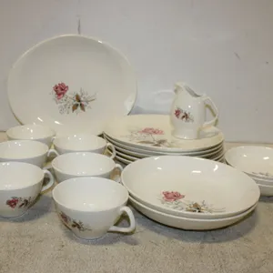 Canonsburg Pottery Royal Rose Floral Dinnerware